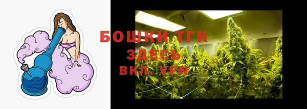 твердый Арсеньев