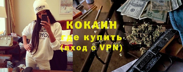 твердый Арсеньев