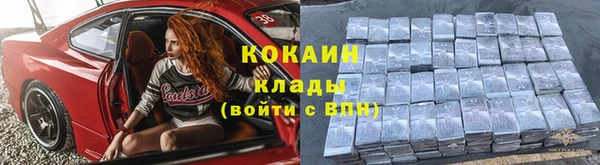 твердый Арсеньев