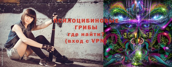 твердый Арсеньев