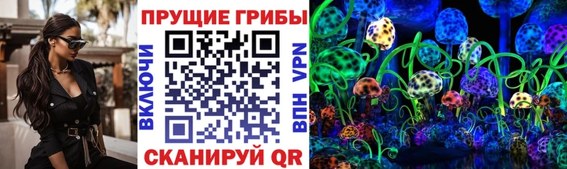 гидра как зайти  Чернушка  Псилоцибиновые грибы прущие грибы 