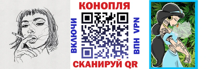 блэк спрут ссылка  Чернушка  Шишки марихуана ГИДРОПОН 